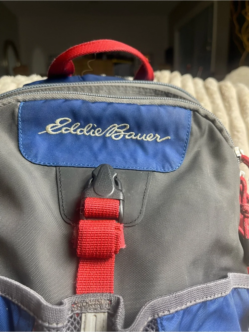 Eddie Bauer Blue, Gray and Red Trailhead Backpack